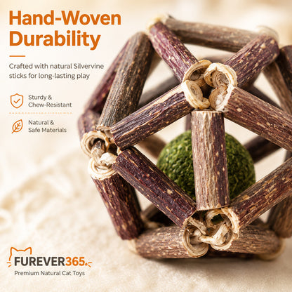 FUREVER365 Natural Silvervine Catnip Ball Cat Toy Gall Fruit Molar Chew Ball Bell Interactive Kitten