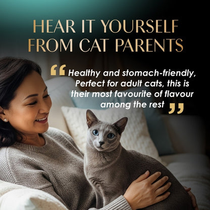 SHEBA Wet Cat Food for Adult and Kitten - All Flavors - 70g per Pack