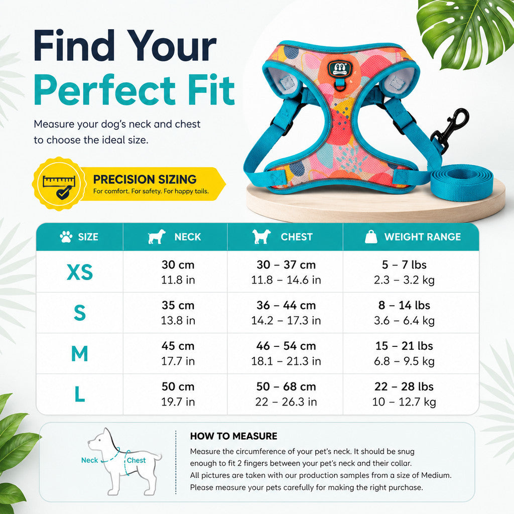 FUREVER365 Cute Blue Floral Pet Harness Leash Set Adjustable Cat Dog Vest Harness Walking Lead 2pcs