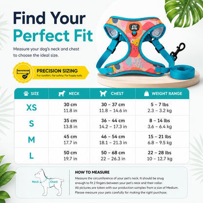 FUREVER365 Cute Blue Floral Pet Harness Leash Set Adjustable Cat Dog Vest Harness Walking Lead 2pcs
