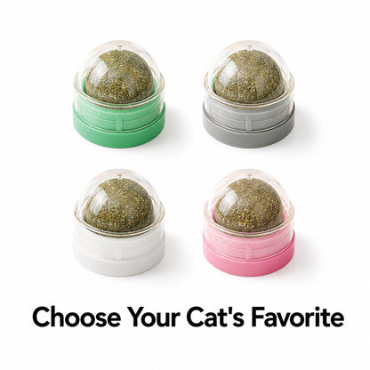 FUREVER365 Natural Catnip Ball Toy Rotating Silvervine Wall Stick-on Cat Lick Fun Gall Fruit Molar