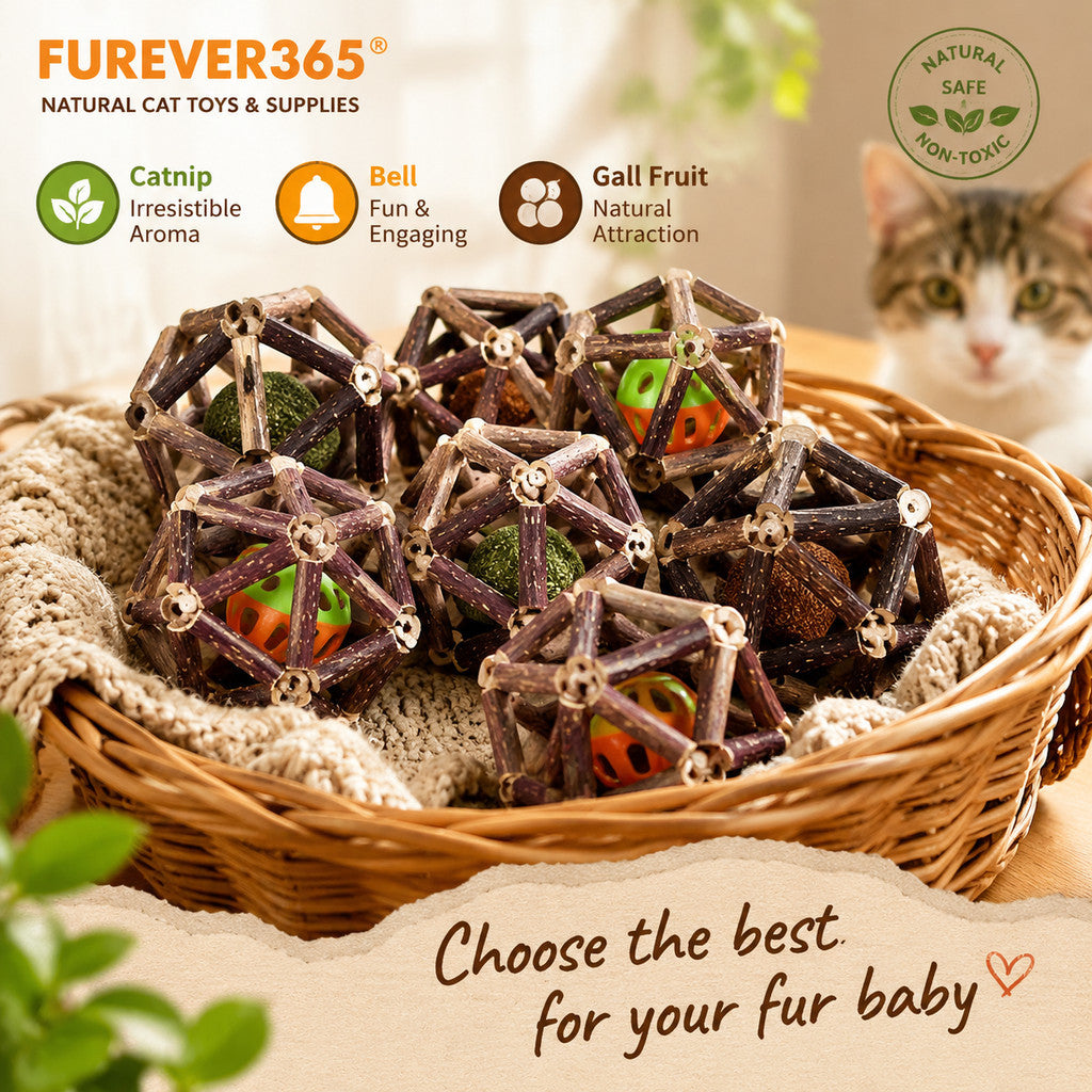 FUREVER365 Natural Silvervine Catnip Ball Cat Toy Gall Fruit Molar Chew Ball Bell Interactive Kitten