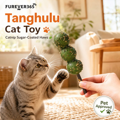 FUREVER365 Natural Catnip Tanghulu Cat Toy Silvervine Stick Gall Fruit Molar Chew Toy Teeth Cleaning