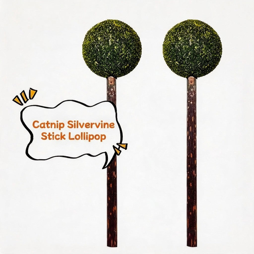FUREVER365 Natural Catnip Lollipop Cat Toy Silvervine Stick Gall Fruit Molar Chew Toy Teeth Cleaning