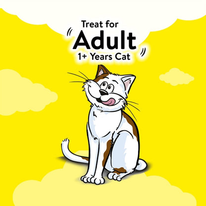 TEMPTATIONS Cat Treats - Tasty Chicken / Tempting Tuna / Savoury Salmon 160g