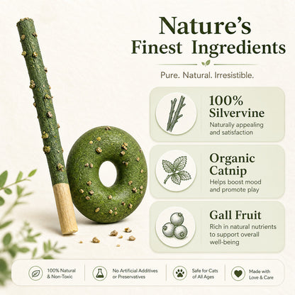 FUREVER365 Natural Catnip Tanghulu Cat Toy Silvervine Stick Gall Fruit Molar Chew Toy Teeth Cleaning