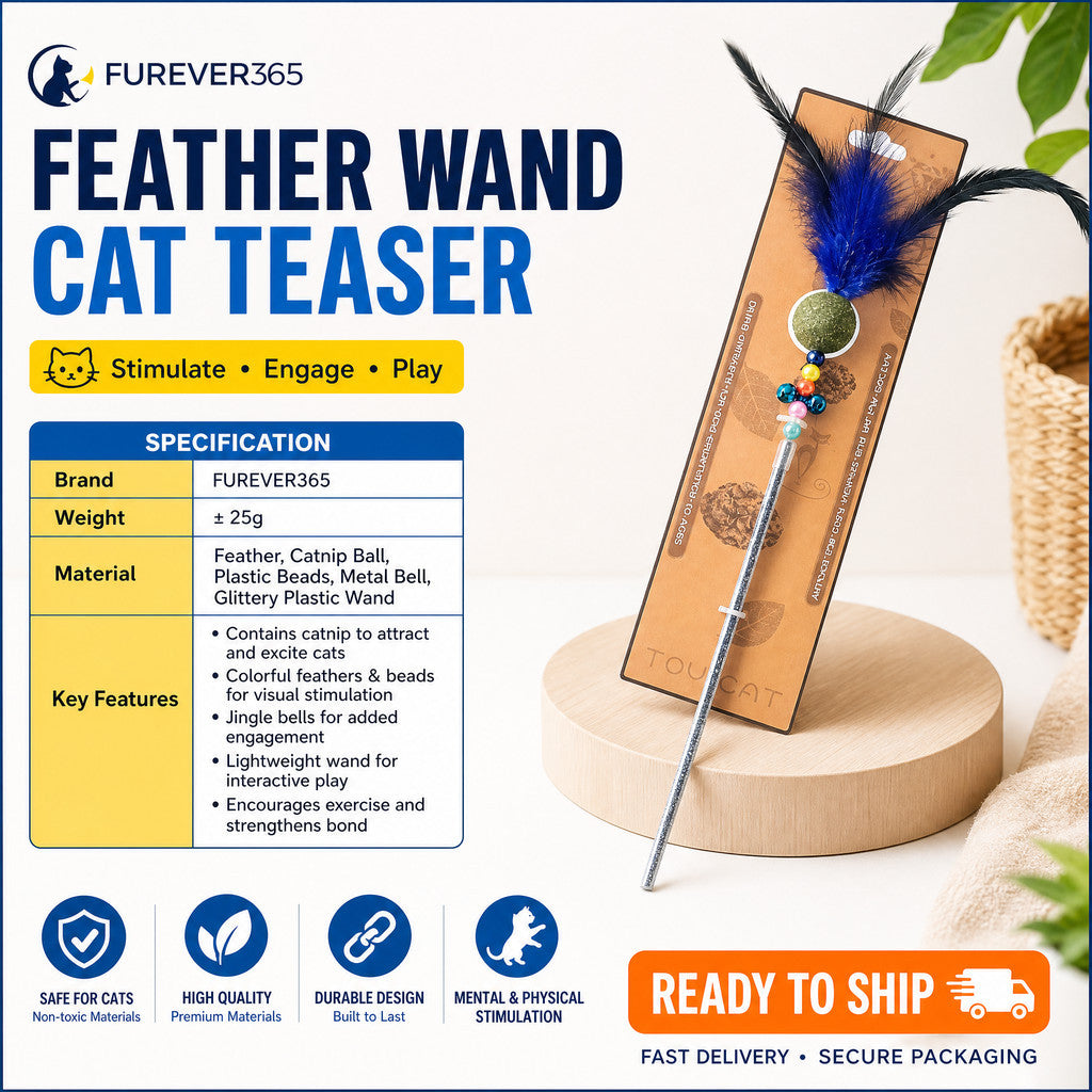 FUREVER365 Retractable Cat Teaser Wand with Catnip Ball & Bell Feather Toy Interactive Kitten Toy