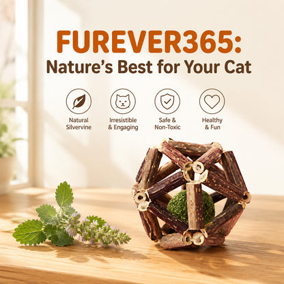 FUREVER365 Natural Silvervine Catnip Ball Cat Toy Gall Fruit Molar Chew Ball Bell Interactive Kitten