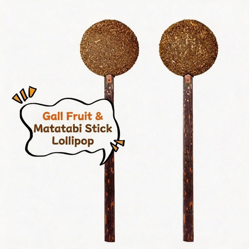 FUREVER365 Natural Catnip Lollipop Cat Toy Silvervine Stick Gall Fruit Molar Chew Toy Teeth Cleaning