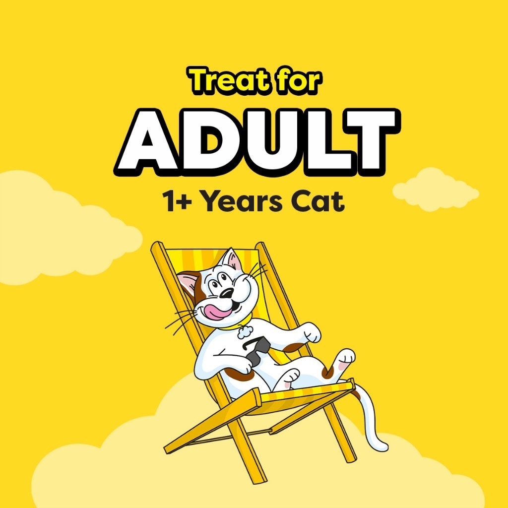 TEMPTATIONS Cat Treats Pockets & Mix Ups - All Flavors 75g