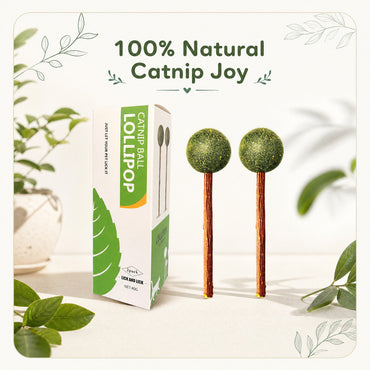 FUREVER365 Natural Catnip Lollipop Cat Toy Silvervine Stick Molar Chew Toy Lickable Kitten Teaser CBT10