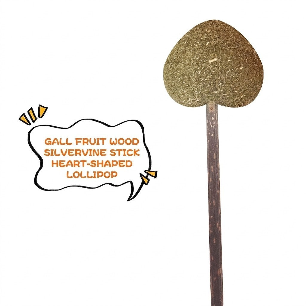 FUREVER365 Natural Catnip Lollipop Cat Toy Silvervine Stick Gall Fruit Molar Chew Toy Teeth Cleaning