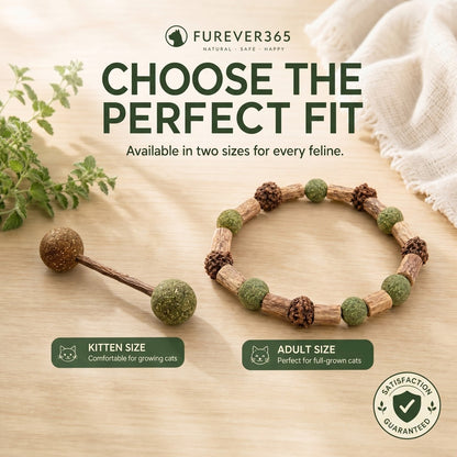FUREVER365 Rotatable Catnip Ball Cat Toy Natural Silvervine Gall Fruit Molar Chew Toy Teeth Cleaning