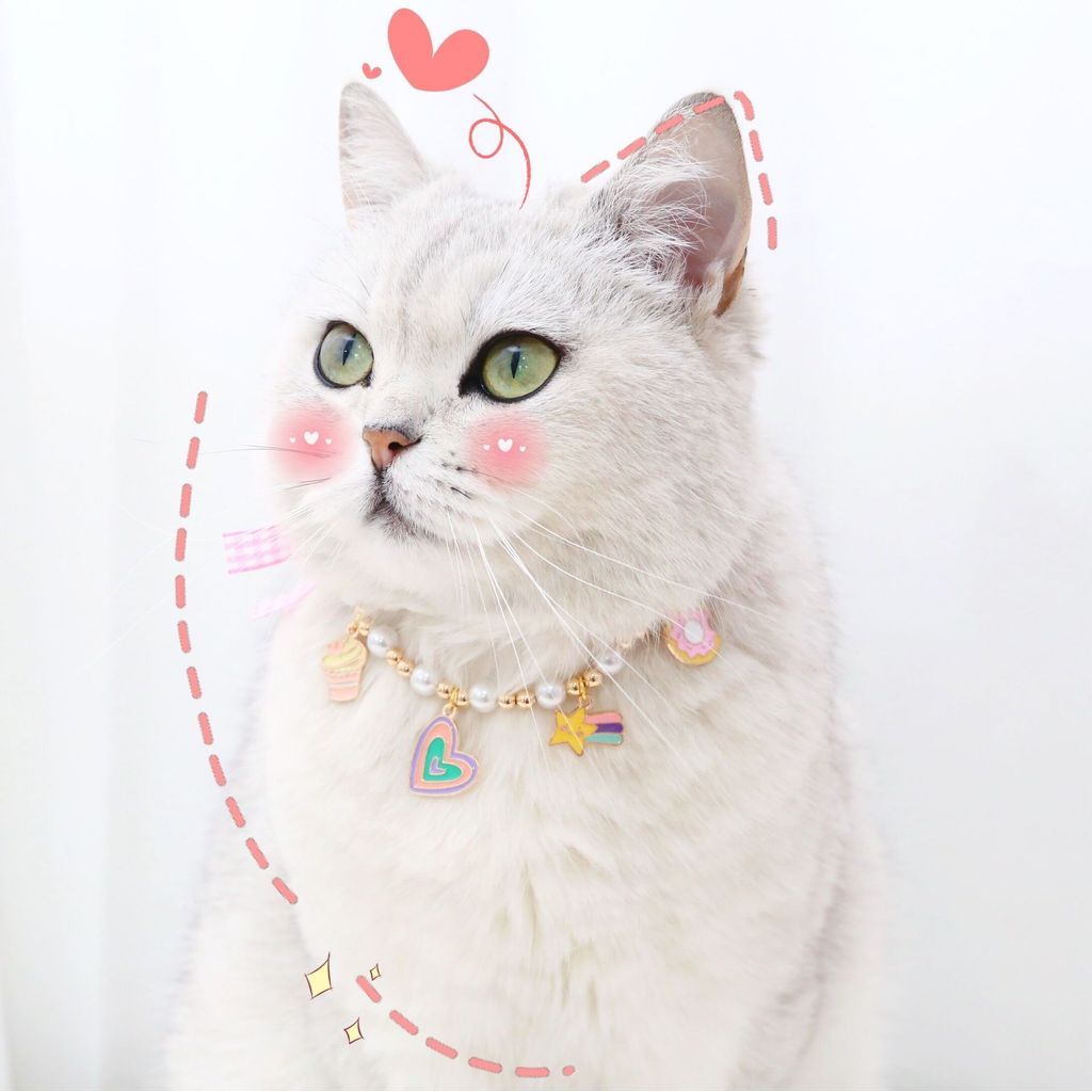 FUREVER365 Cute Pet Pearl Collar with Bow Tie Bell Cat Dog Rabbit Birthday Necklace Adjustable Scarf