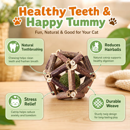 FUREVER365 Natural Silvervine Catnip Ball Cat Toy Gall Fruit Molar Chew Ball Bell Interactive Kitten