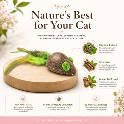 FUREVER365 Natural Catnip Toy Silvervine Mouse Cat Toy Gall Fruit Molar Chew Toy with Feather Kitten