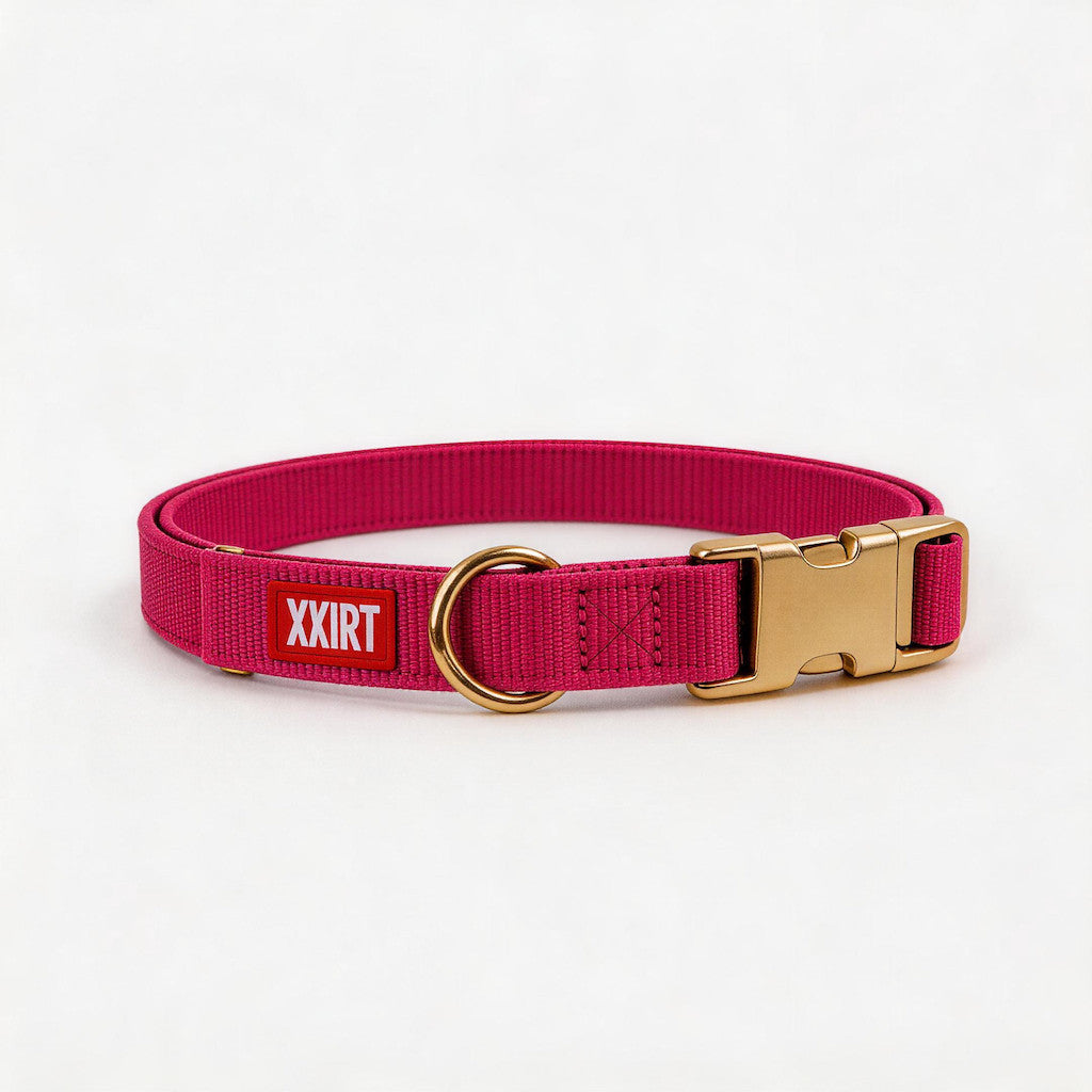 FUREVER365 Macaron Pet Dog Collar Adjustable Puppy Collar with Gold Buckle for Small Medium Large Dog