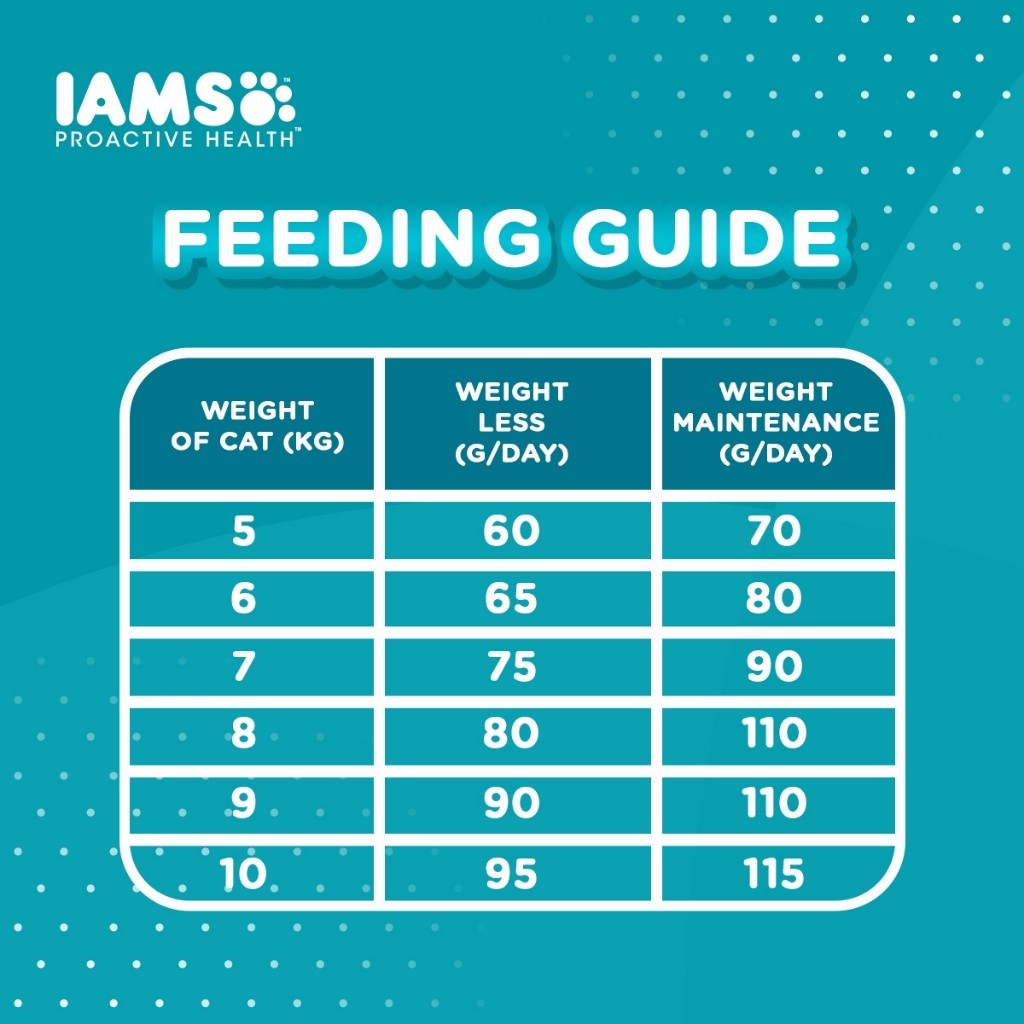 IAMS Dry Cat Food For Adult Cat - Mother & Kitten / Tuna & Salmon / Chicken / Indoor & Hairball Care 3kg