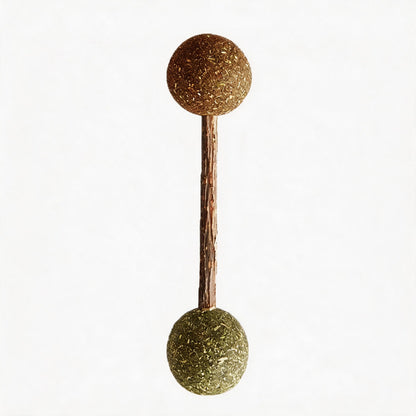 FUREVER365 Rotatable Catnip Ball Cat Toy Natural Silvervine Gall Fruit Molar Chew Toy Teeth Cleaning