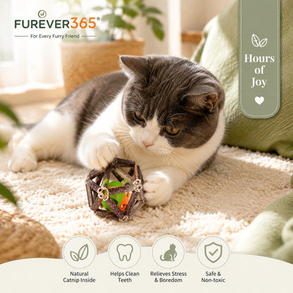 FUREVER365 Natural Silvervine Catnip Ball Cat Toy Gall Fruit Molar Chew Ball Bell Interactive Kitten