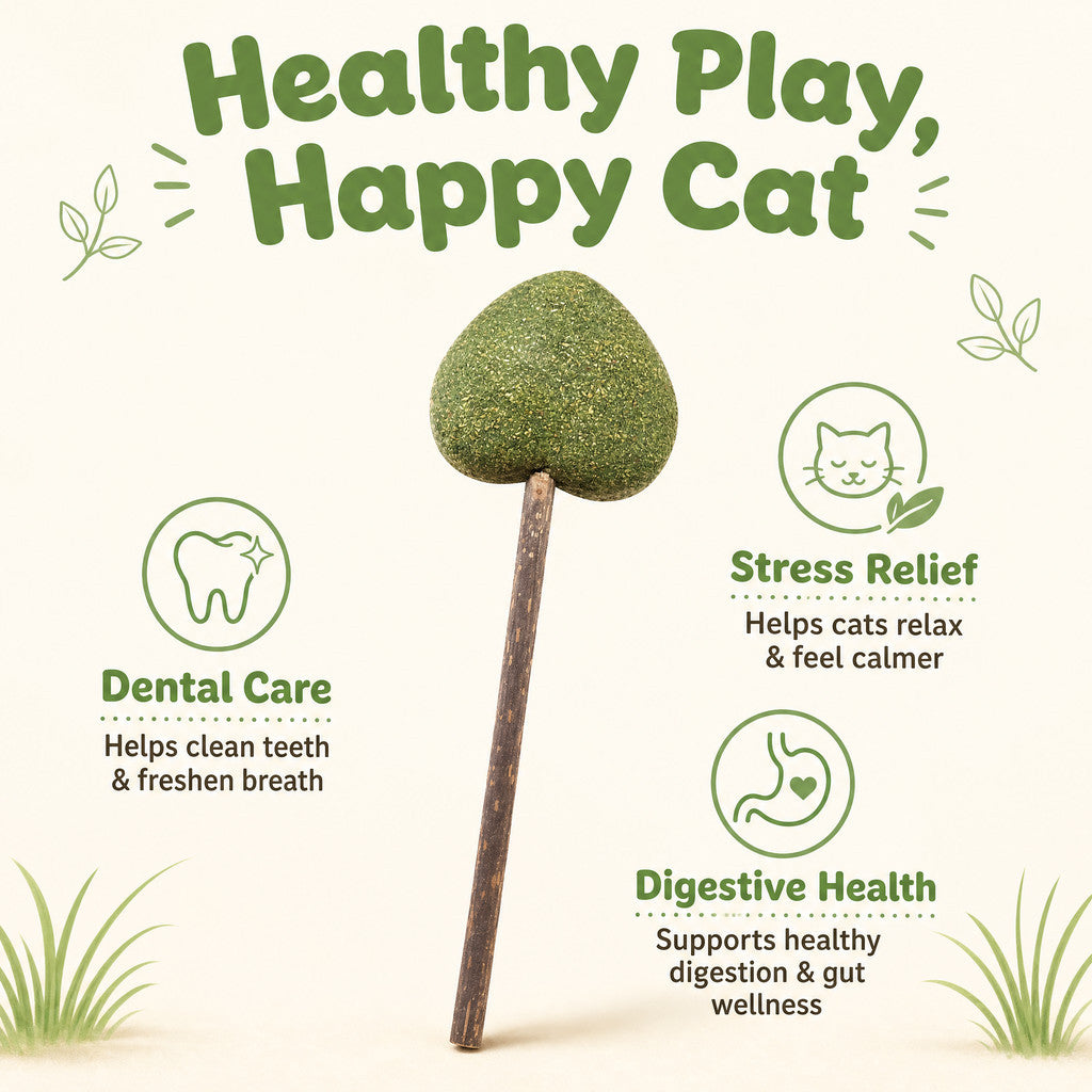 FUREVER365 Natural Catnip Lollipop Cat Toy Silvervine Stick Gall Fruit Molar Chew Toy Teeth Cleaning