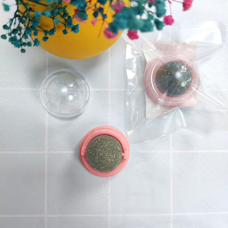FUREVER365 Natural Catnip Ball Toy Rotating Silvervine Wall Stick-on Cat Lick Fun Gall Fruit Molar