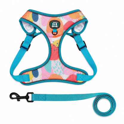FUREVER365 Cute Blue Floral Pet Harness Leash Set Adjustable Cat Dog Vest Harness Walking Lead 2pcs