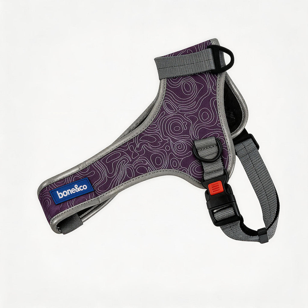 FUREVER365 Night Reflective Pet Harness No-Pull Mesh Dog Vest U-Shape Adjustable Chest Strap Leash