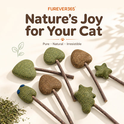 FUREVER365 Natural Catnip Lollipop Cat Toy Silvervine Stick Gall Fruit Molar Chew Toy Teeth Cleaning