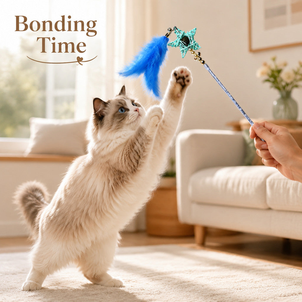 FUREVER365 Retractable Cat Teaser Wand with Star Catnip Ball & Bell Feather Toy Crystal Handle Kitten