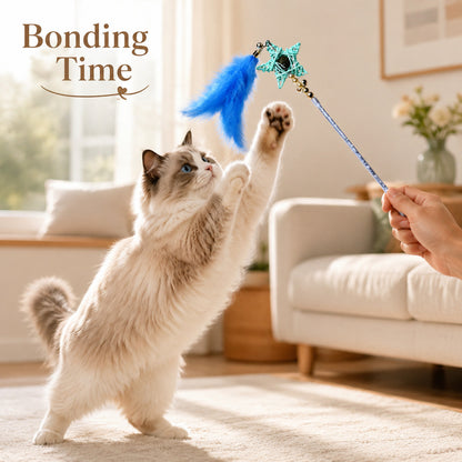 FUREVER365 Retractable Cat Teaser Wand with Star Catnip Ball & Bell Feather Toy Crystal Handle Kitten