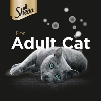Sheba Wet Cat Food Canned For Adult Cat - All Flavors 85g per can