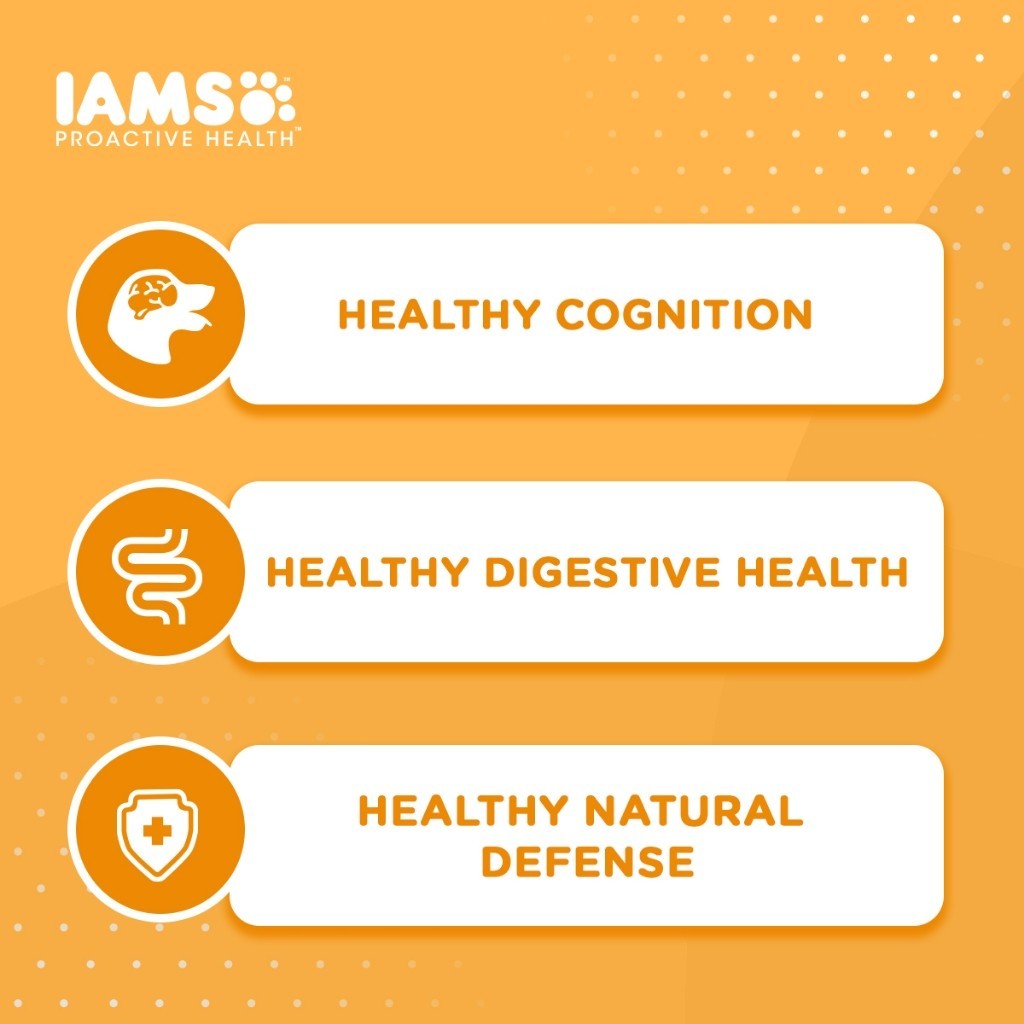 IAMS Dry Dog Food - Small Breed / Adult Dog / Mother & Puppy 3kg