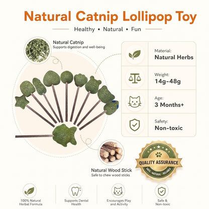 FUREVER365 Natural Catnip Lollipop Cat Toy Silvervine Stick Gall Fruit Molar Chew Toy Teeth Cleaning