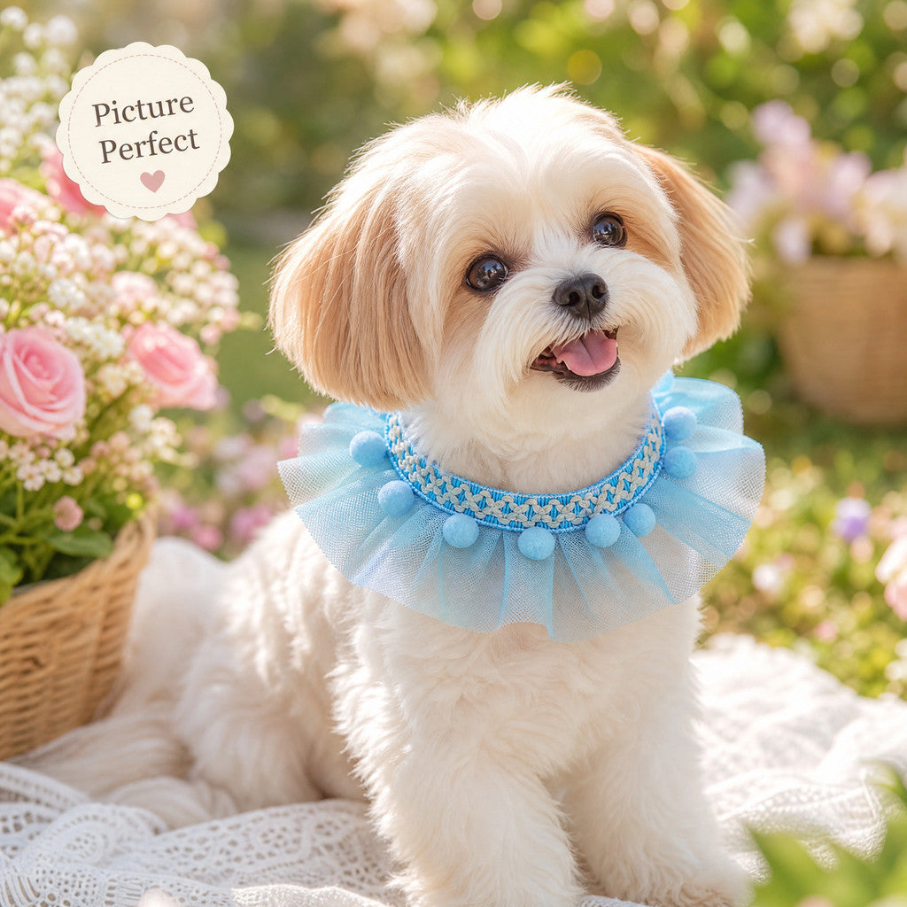 FUREVER365 Cute Cat Lace Mesh Collar Pet Princess Scarf Necklace for Small Dogs Birthday Party Props