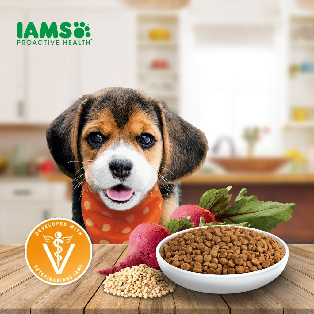 IAMS Dry Dog Food - Small Breed / Adult Dog / Mother & Puppy 3kg