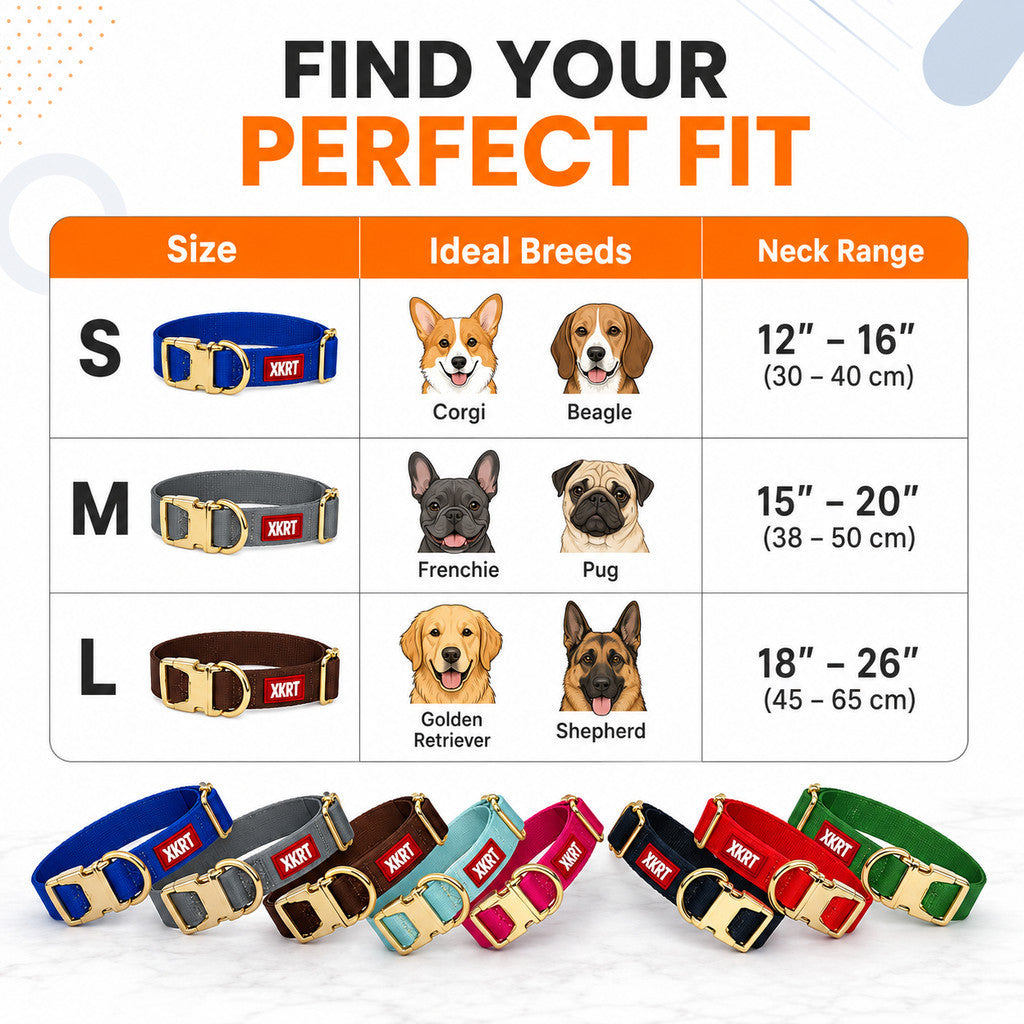 FUREVER365 Macaron Pet Dog Collar Adjustable Puppy Collar with Gold Buckle for Small Medium Large Dog