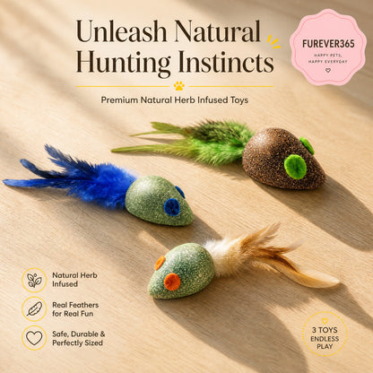 FUREVER365 Natural Catnip Toy Silvervine Mouse Cat Toy Gall Fruit Molar Chew Toy with Feather Kitten