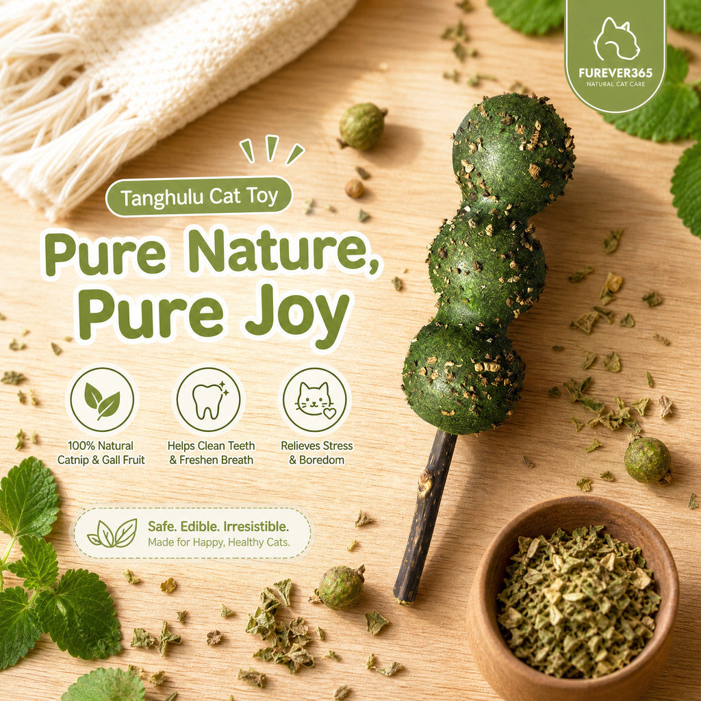 FUREVER365 Natural Catnip Tanghulu Cat Toy Silvervine Stick Gall Fruit Molar Chew Toy Teeth Cleaning
