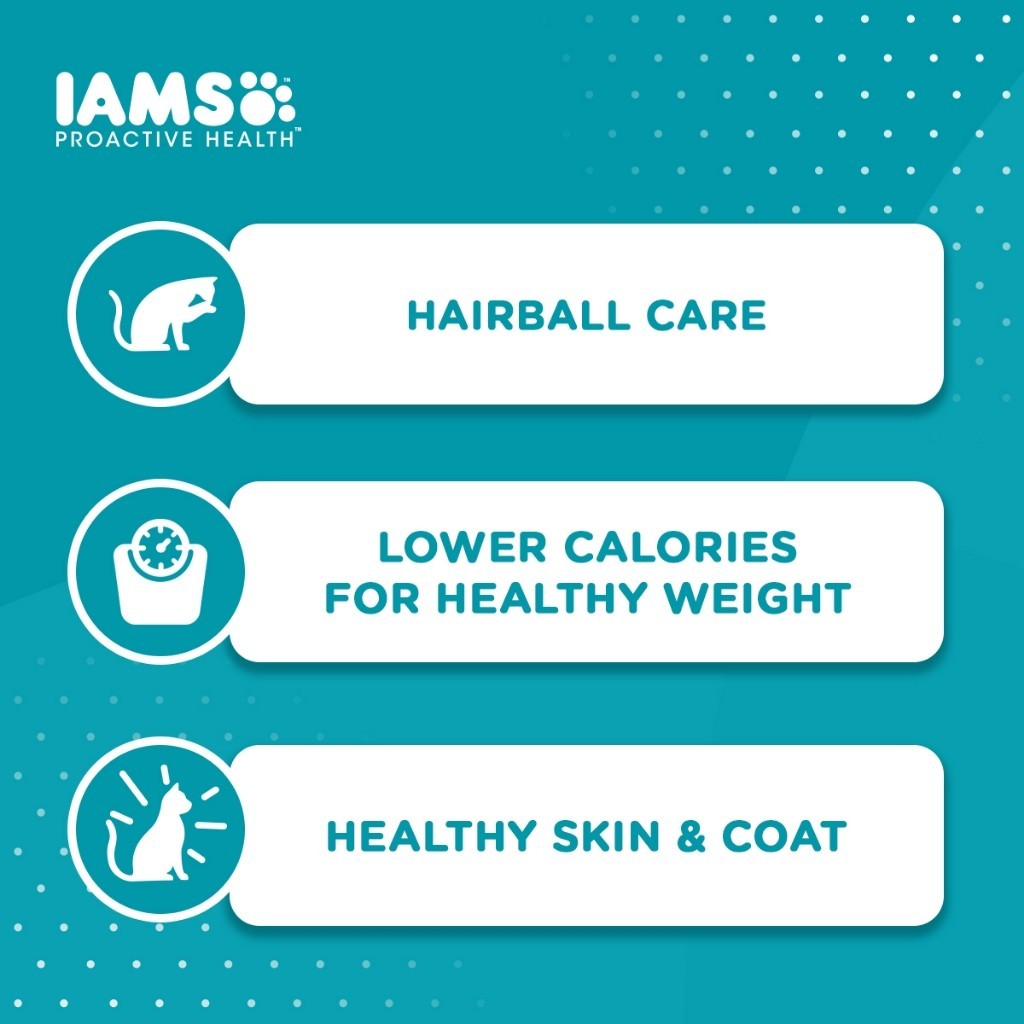 IAMS Dry Cat Food For Adult Cat - Mother & Kitten / Tuna & Salmon / Chicken / Indoor & Hairball Care 3kg