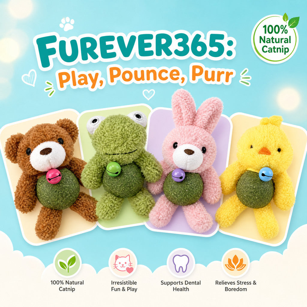 FUREVER365 Cute Catnip Toy Cat Plush Doll Molar Toy Gall Fruit Cat Chew Toy with Bell Interactive Toy