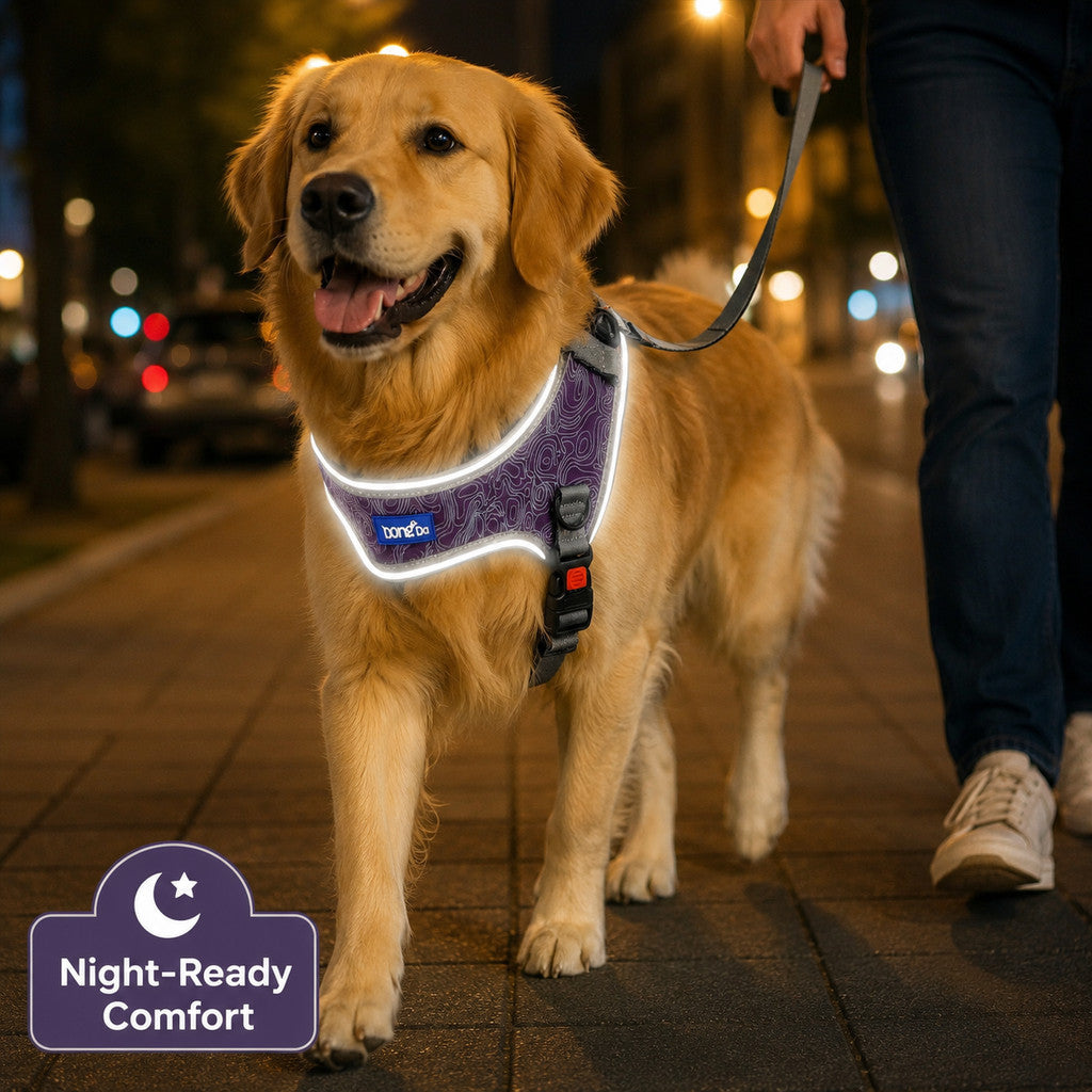 FUREVER365 Night Reflective Pet Harness No-Pull Mesh Dog Vest U-Shape Adjustable Chest Strap Leash