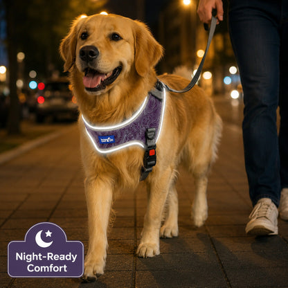 FUREVER365 Night Reflective Pet Harness No-Pull Mesh Dog Vest U-Shape Adjustable Chest Strap Leash