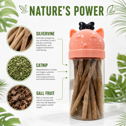 FUREVER365 Bottled Catnip Silvervine Stick Cat Toy Gall Fruit Molar Chew Stick Natural Cat Snack