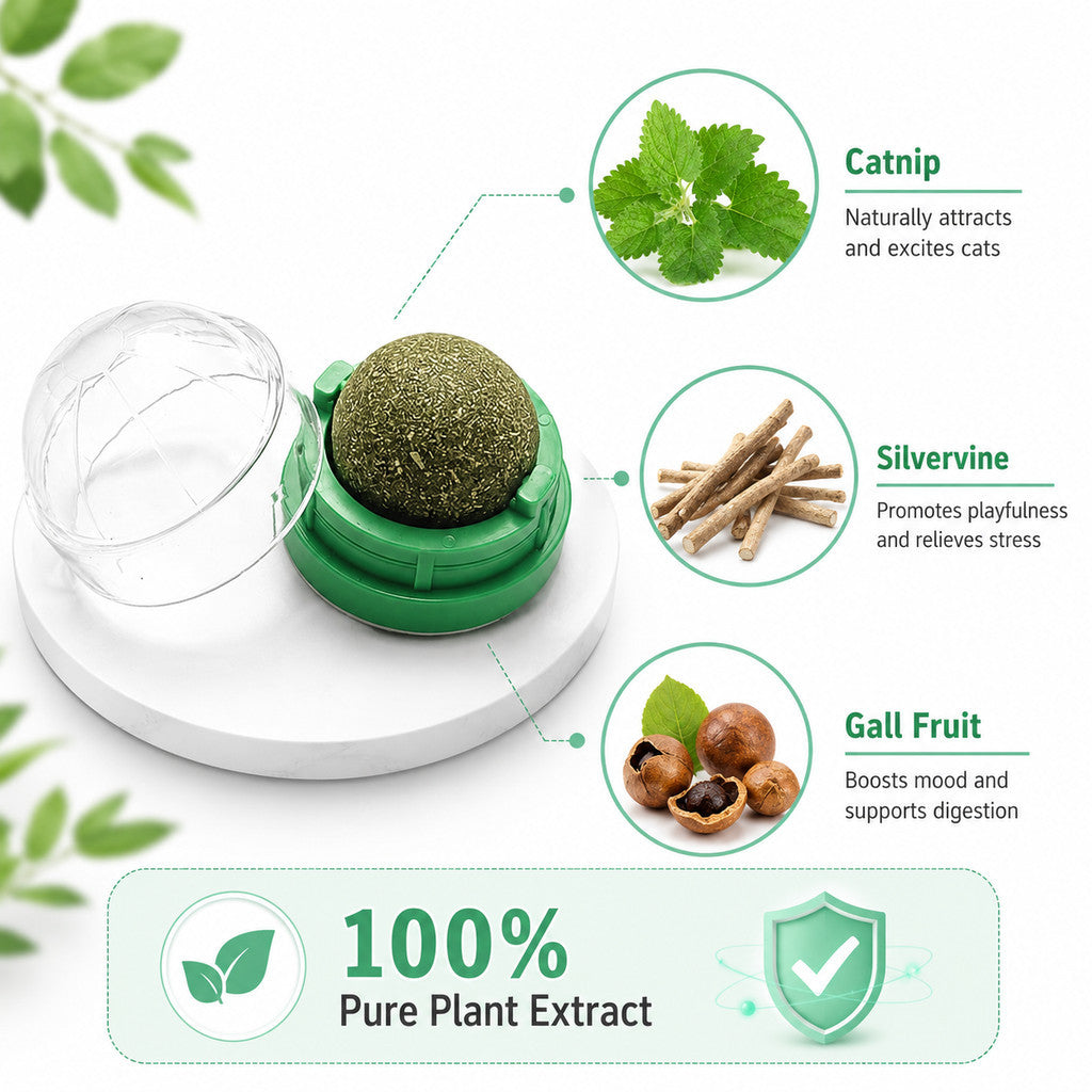 FUREVER365 Natural Catnip Ball Toy Rotating Silvervine Wall Stick-on Cat Lick Fun Gall Fruit Molar