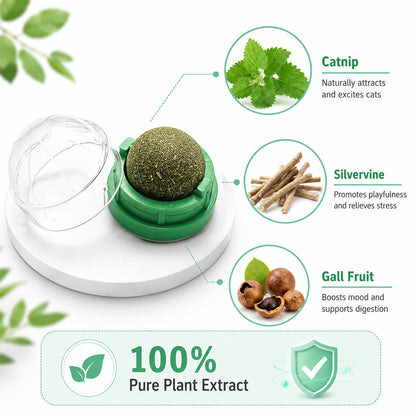 FUREVER365 Natural Catnip Ball Toy Rotating Silvervine Wall Stick-on Cat Lick Fun Gall Fruit Molar