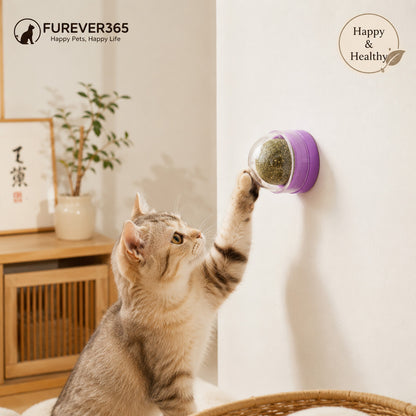 FUREVER365 Natural Catnip Ball Toy Rotating Silvervine Wall Stick-on Cat Lick Fun Gall Fruit Molar