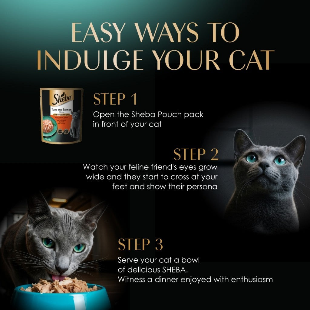 SHEBA Wet Cat Food for Adult and Kitten - All Flavors - 70g per Pack