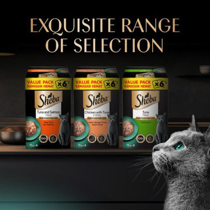 Value Pack (6 Packs) SHEBA Wet Cat Food for Adult - All Flavors - 70g x 6