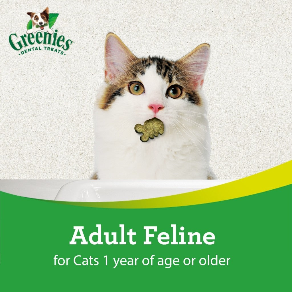 GREENIES Feline Dental Cat Treats for Adult Cats – All Flavor 60g